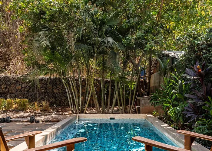 Casa Mono Del Rio Matapalo (Santa Cruz)